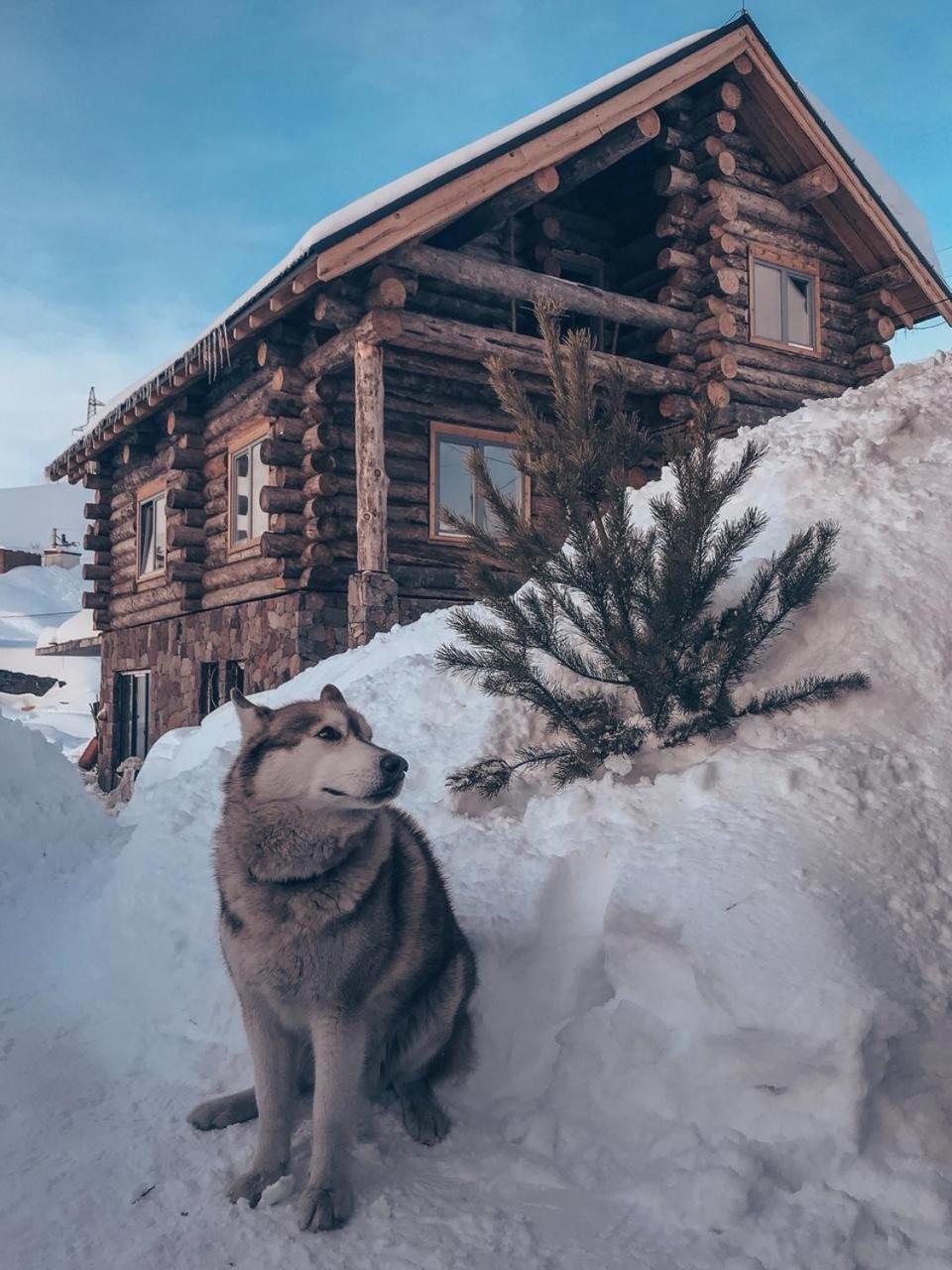 Mountain Cricket Chalets And Apartments 구다우리 외부 사진